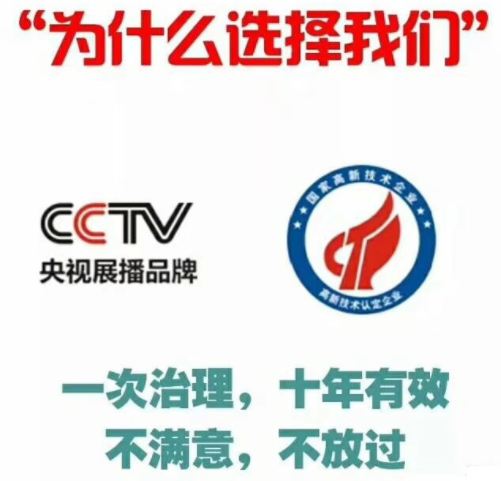 除甲醛公司如何選擇？