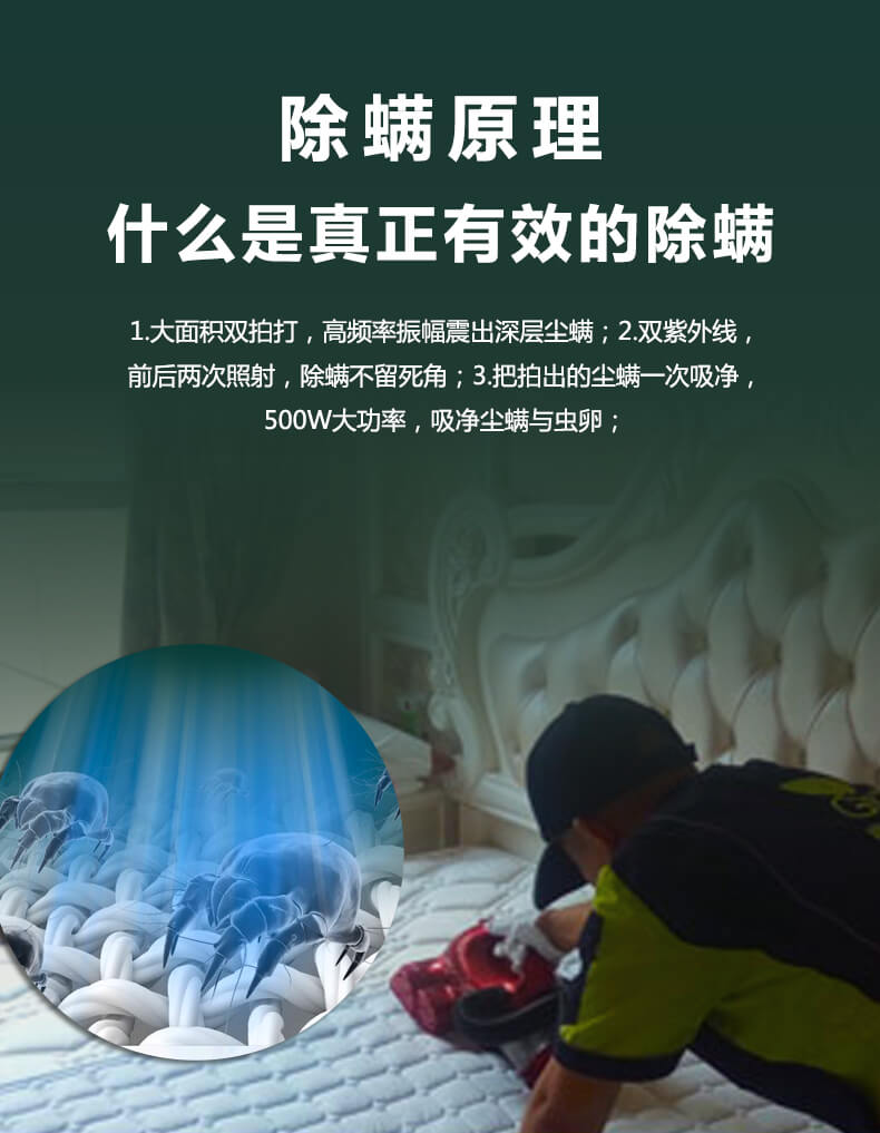 除螨原理，什么是真正有效的除螨，大面積雙拍打，高頻振幅震出深層塵螨，雙紫外線照射，除螨不留死角